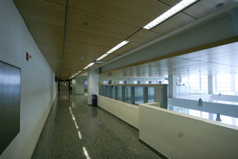 Enlarge photo 80