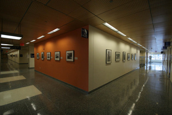 Enlarge photo 83