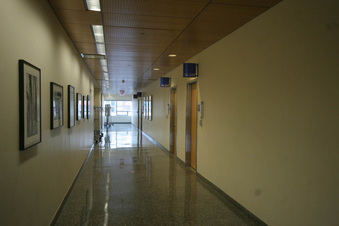 Enlarge photo 84