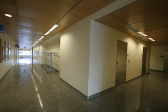 Enlarge photo 85