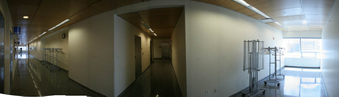 Enlarge photo 86