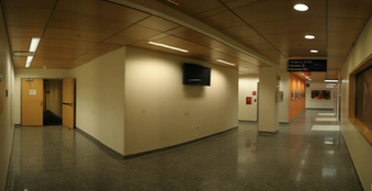 Enlarge photo 87