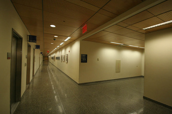 Enlarge photo 88