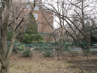 Enlarge photo 38