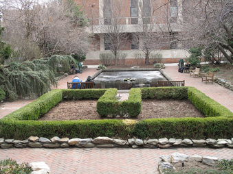 Enlarge photo 39