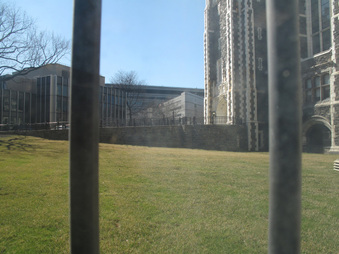 Enlarge photo 45