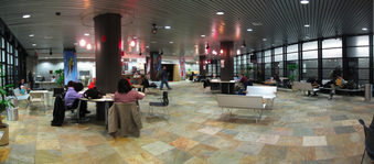 Enlarge photo 55
