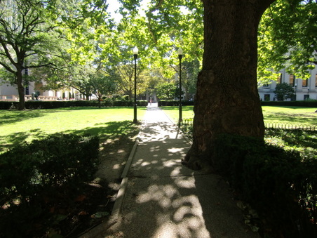 Enlarge photo 32