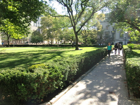 Enlarge photo 34