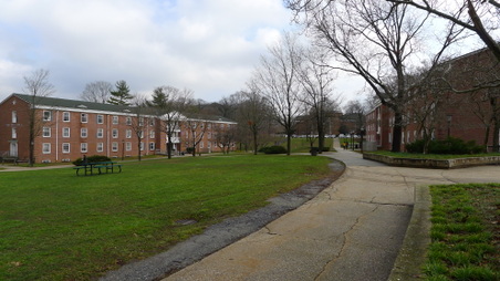 Enlarge photo 109