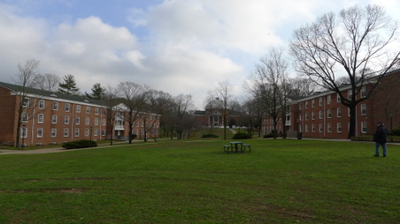 Enlarge photo 110