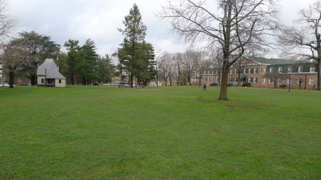 Enlarge photo 122