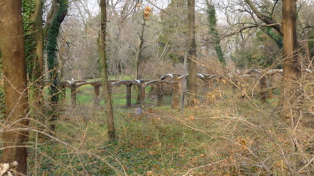 Enlarge photo 128