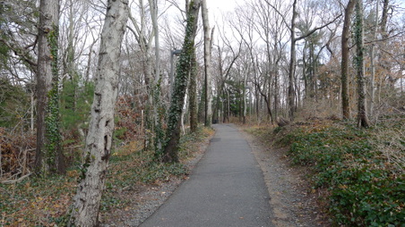 Enlarge photo 130