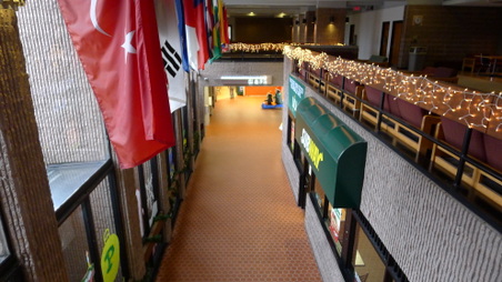 Enlarge photo 147