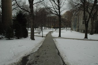 Enlarge photo 47
