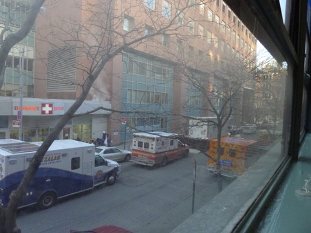 Enlarge photo 20
