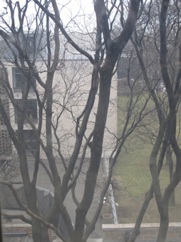 Enlarge photo 17