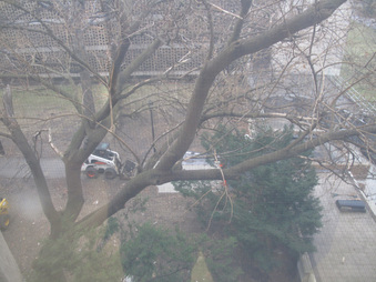 Enlarge photo 20