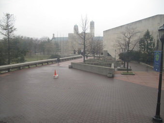 Enlarge photo 45