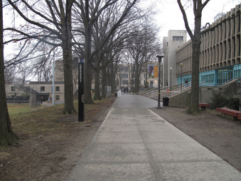 Enlarge photo 59