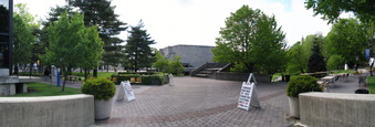 Enlarge photo 81