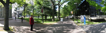 Enlarge photo 86
