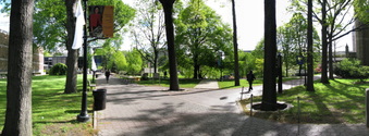 Enlarge photo 87