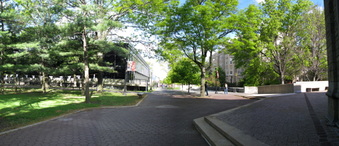 Enlarge photo 92