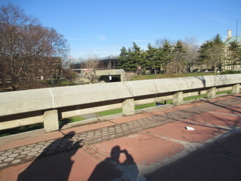 Enlarge photo 117