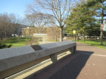 Enlarge photo 119