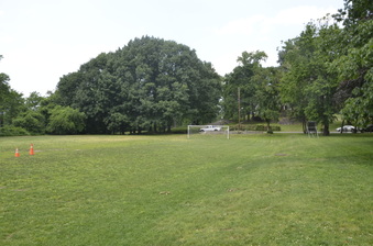 Enlarge photo 93