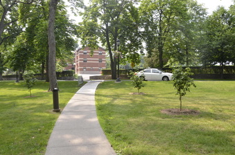 Enlarge photo 142