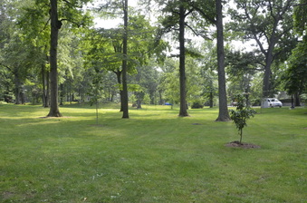 Enlarge photo 146