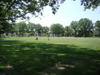 St. John's University