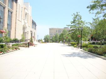 Enlarge photo 41