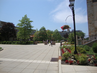 Enlarge photo 42