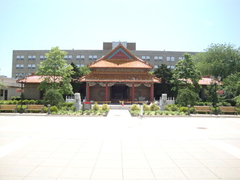 Enlarge photo 46