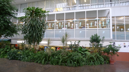 Enlarge photo 19
