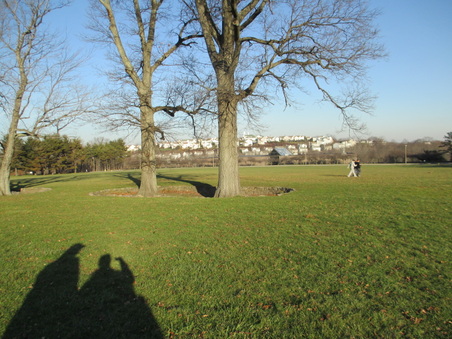 Enlarge photo 31