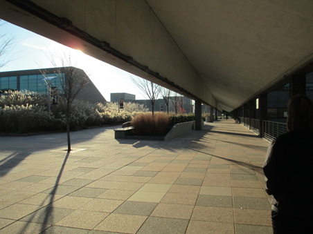Enlarge photo 35