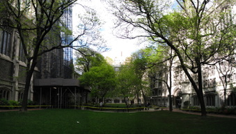 Enlarge photo 25