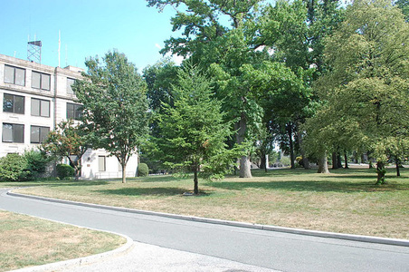 Enlarge photo 13