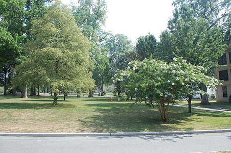 Enlarge photo 14