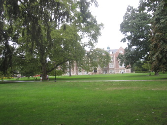 Enlarge photo 31