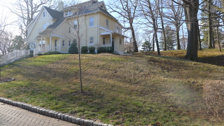 Enlarge photo 27