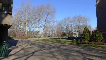 Enlarge photo 46