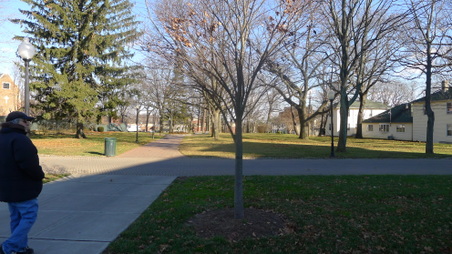 Enlarge photo 54