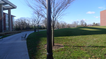 Enlarge photo 55