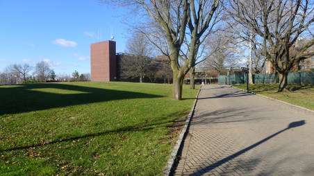 Enlarge photo 57